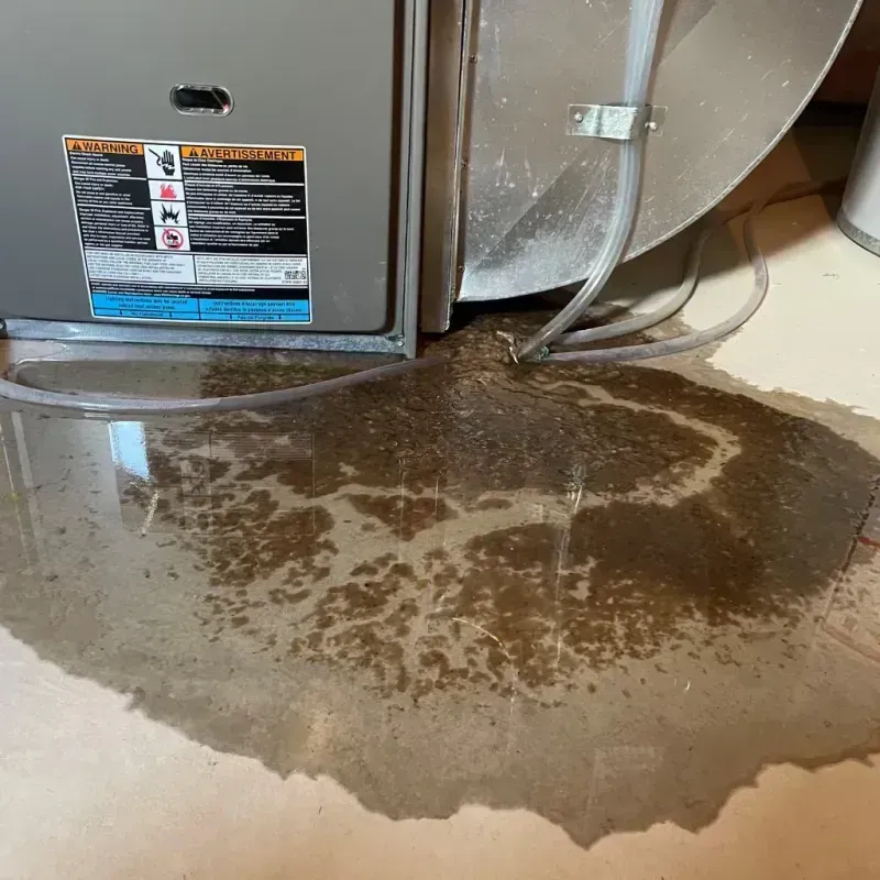 Appliance Leak Cleanup in Rockingham, NC